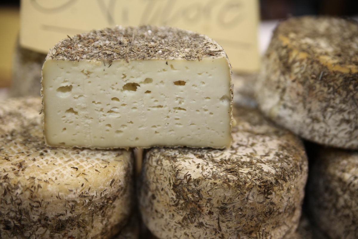 conciato di san vittore: i migliori formaggi